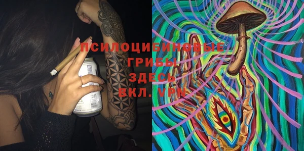 шишки Сосновый Бор