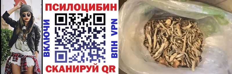 Галлюциногенные грибы мицелий  закладки  Новокузнецк 