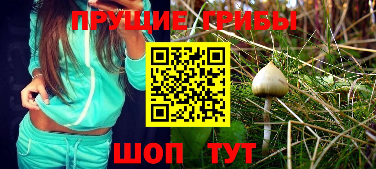 Псилоцибиновые грибы ЛСД Новокузнецк