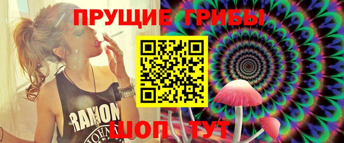 Галлюциногенные грибы Psilocybe  Новокузнецк 