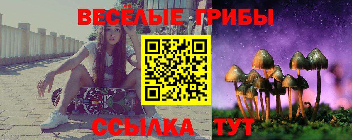 Псилоцибиновые грибы прущие грибы Новокузнецк